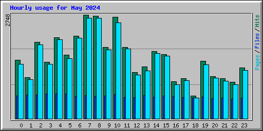 Hourly usage for May 2024